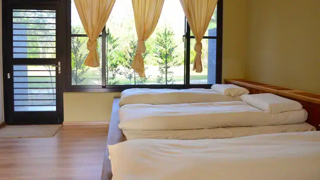 shared-dormitory-room